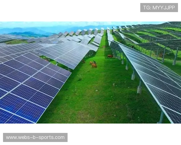 体育场馆屋顶铺设光伏板，实现绿色能源自给自足